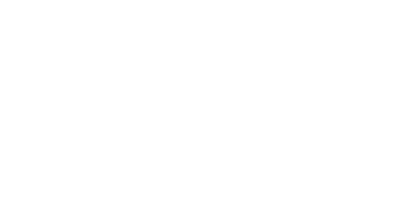 News 12 New York